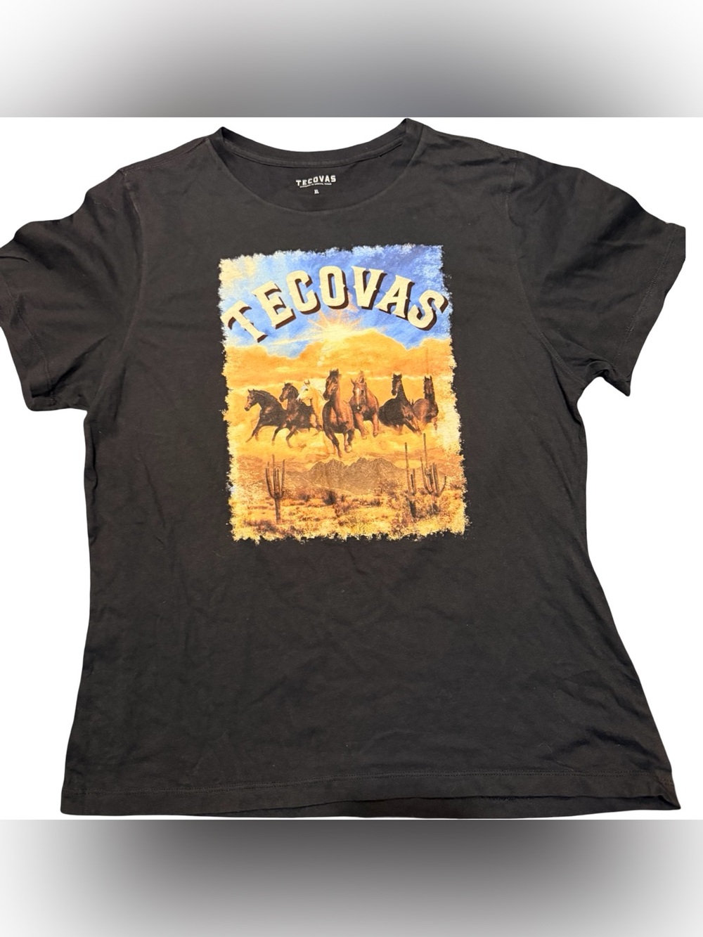 Tecovas Black Tee with Desert Horse Graphic